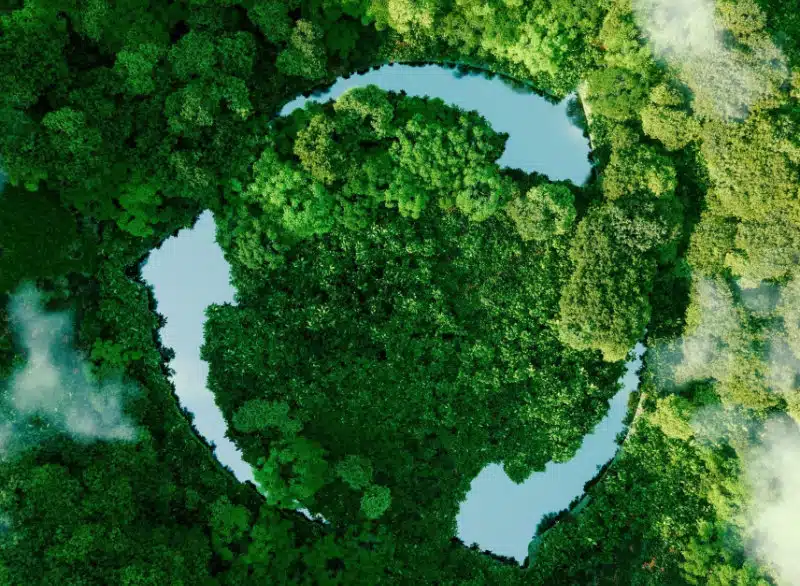 Economy and ecology